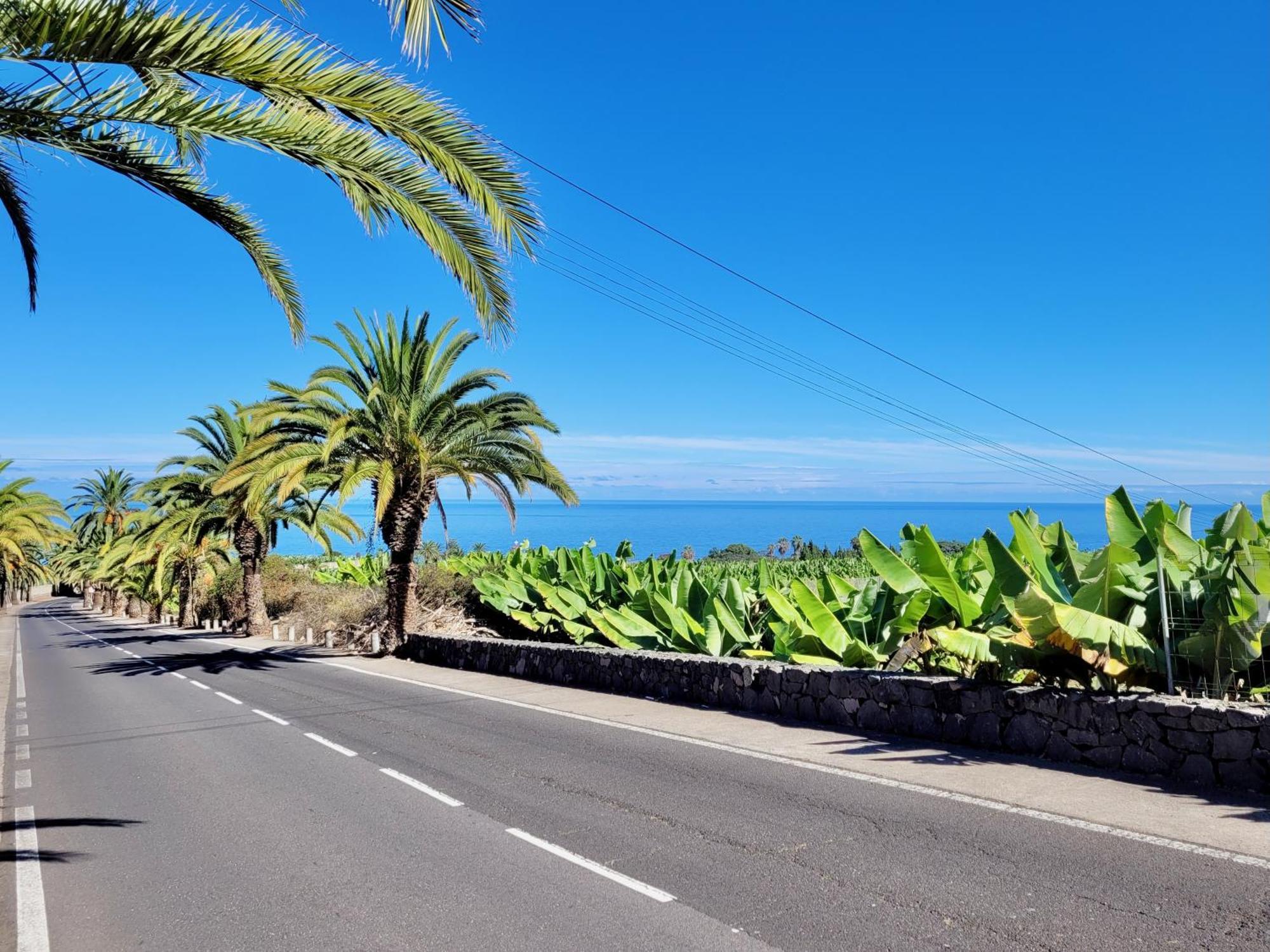 Casa Rural - Playa. Situada En Un Entorno Natural. La Orotava Eksteriør billede